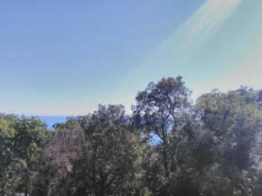 Guest house U Grishi
